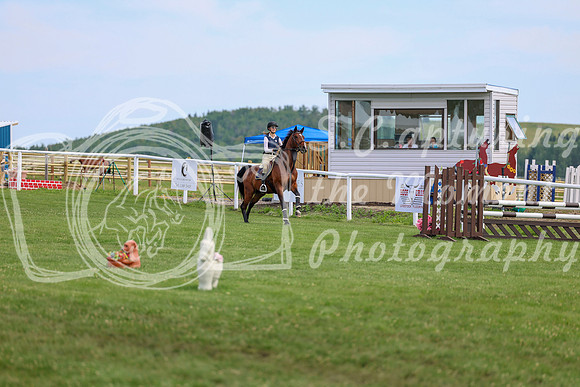 2025 - Shea - Teesdale - Thursday July 24th - 04168