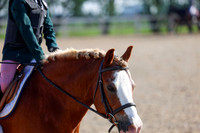 2025 - Dressage Festival - Saturday July 5th - 00015