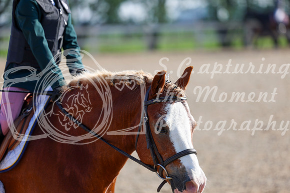 2025 - Dressage Festival - Saturday July 5th - 00015