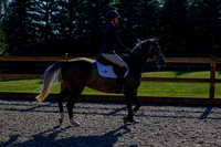 2025 - Haylee - Picco Horse Show - Thursday July 24th 00156