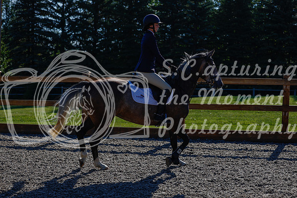 2025 - Haylee - Picco Horse Show - Thursday July 24th 00156