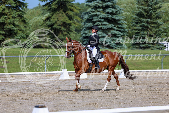 2025 - Dressage Festival - Saturday July 5th - 02606