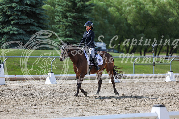 2025 - Dressage Festival - Saturday July 5th - 15453