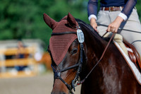 2025 - Haylee - Picco Horse Show - Thursday July 24th 00459