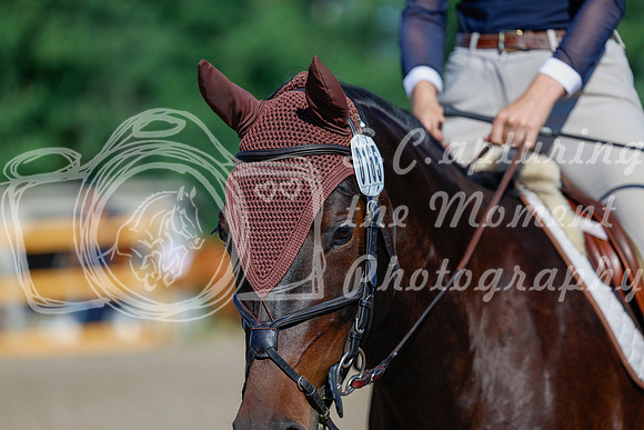 2025 - Haylee - Picco Horse Show - Thursday July 24th 00459
