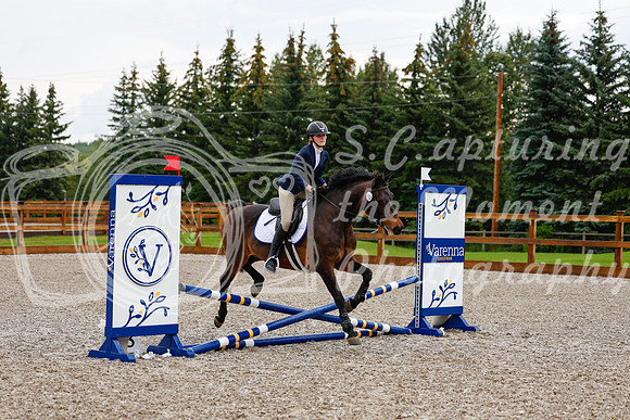2025 - Haylee - Picco Horse Show - Sunday July 27th 00248