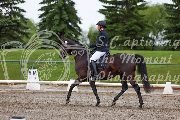 2025 - Dressage Festival - Sunday July 6th - 01898