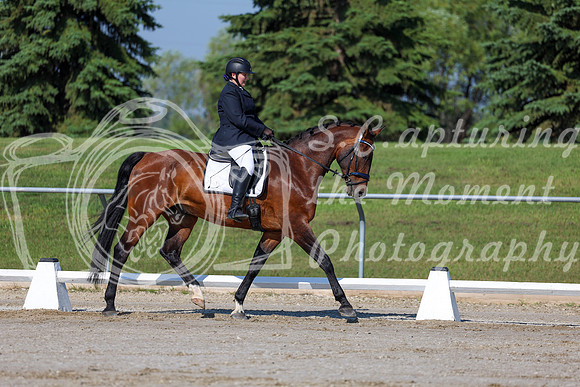 2025 - Dressage Festival - Saturday July 5th - 01059