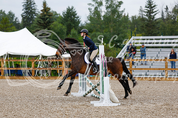 2025 - Haylee - Picco Horse Show - Sunday July 27th 00136
