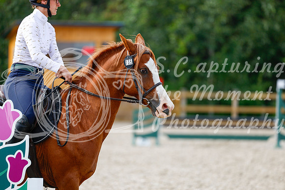 2025 - Haylee - Picco Horse Show - Thursday July 24th 01575