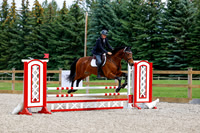 2025 - Haylee - Picco Horse Show - Saturday July 26th 06023
