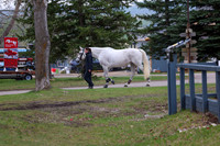 2025 - Shea - Bow Valley II - Friday May 16th - 00007