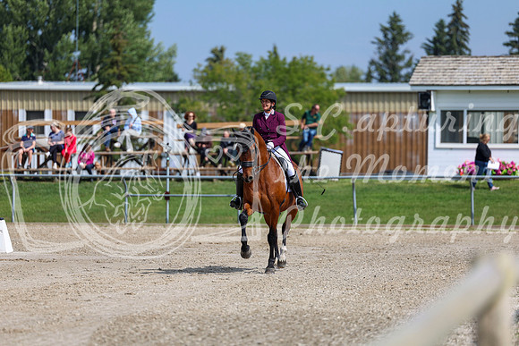 2025 - Dressage Festival - Saturday July 5th - 03065