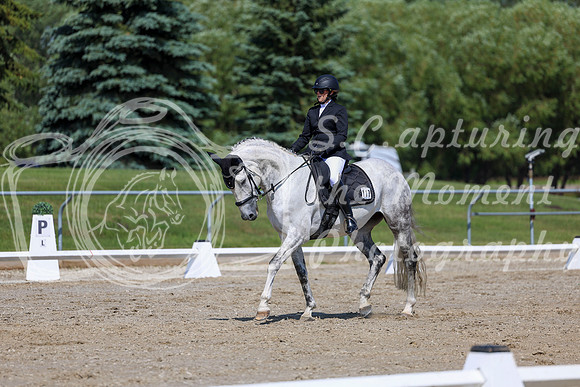 2025 - Dressage Festival - Saturday July 5th - 04755