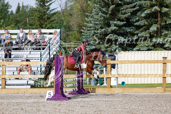 2025 - Haylee - Picco Horse Show - Friay July 25th 00871