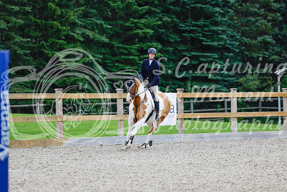 2025 - Haylee - Picco Horse Show - Sunday July 27th 04418