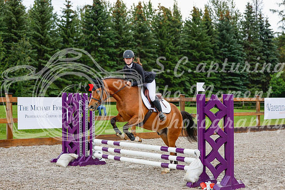 2025 - Haylee - Picco Horse Show - Sunday July 27th 00515