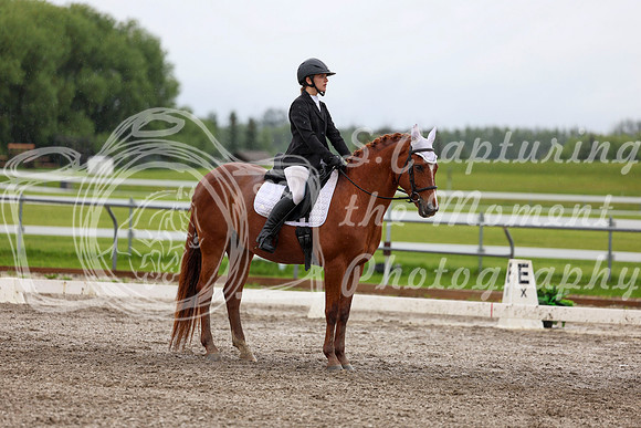 2025 - Dressage Festival - Sunday July 6th - 06098