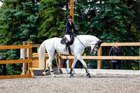 2025 - Haylee - Picco Horse Show - Saturday July 26th 07882