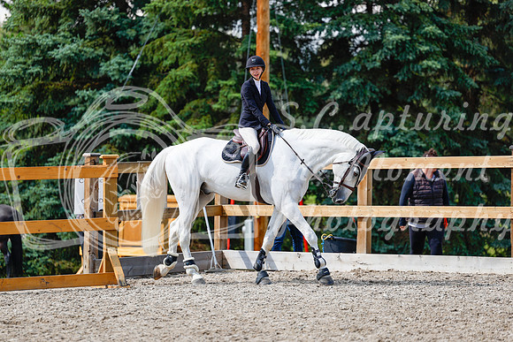 2025 - Haylee - Picco Horse Show - Saturday July 26th 07882
