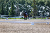 2025 - Dressage Festival - Saturday July 5th - 02324
