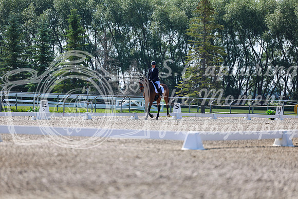 2025 - Dressage Festival - Saturday July 5th - 02324