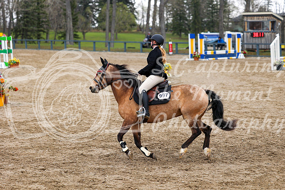 2025 - Mara - Bow Valley II - Saturday May 17th - 06405