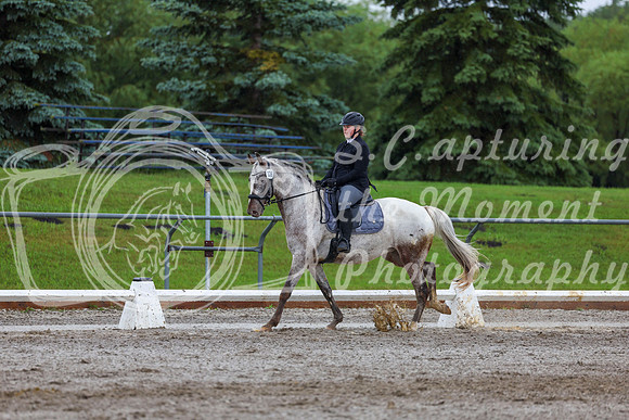2025 - Dressage Festival - Sunday July 6th - 02169