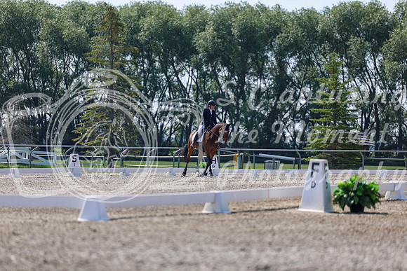 2025 - Dressage Festival - Saturday July 5th - 02362