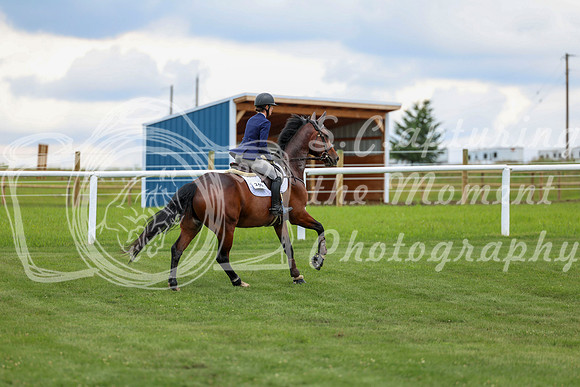 2025 - Shea - Teesdale - Friday July 25th - 06316