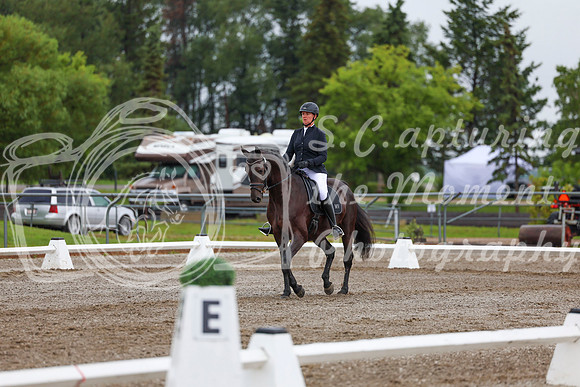 2025 - Dressage Festival - Sunday July 6th - 01875