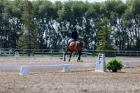 2025 - Dressage Festival - Saturday July 5th - 02353