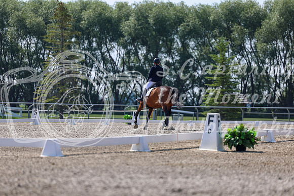 2025 - Dressage Festival - Saturday July 5th - 02353