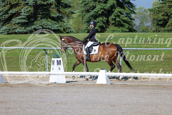 2025 - Dressage Festival - Saturday July 5th - 00414