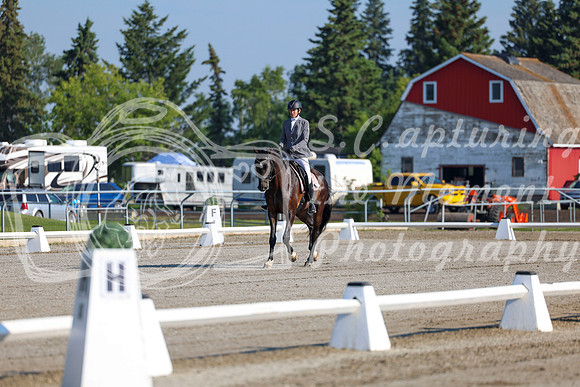 2025 - Dressage Festival - Saturday July 5th - 00119