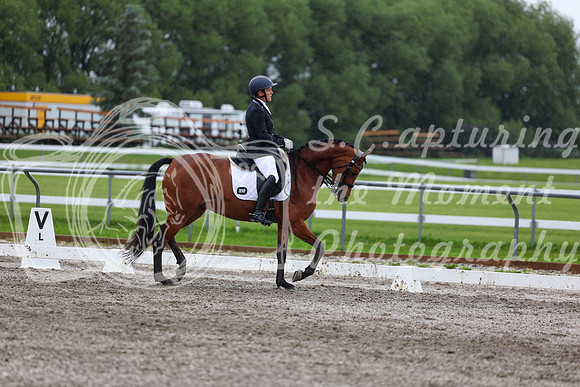 2025 - Dressage Festival - Sunday July 6th - 06700