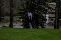 2025 - Shea - Bow Valley II - Thursday May 15th - 00008