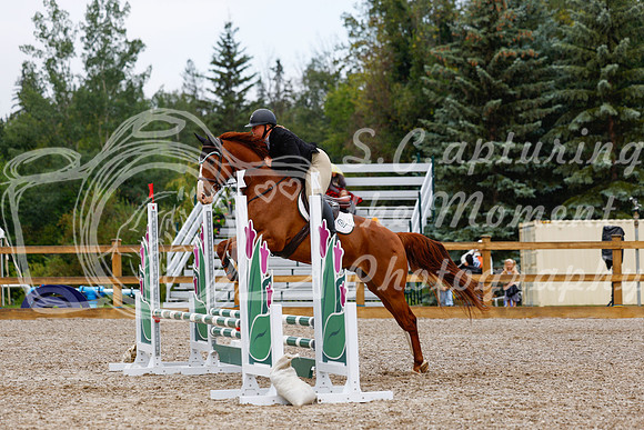 2025 - Haylee - Picco Horse Show - Sunday July 27th 01522