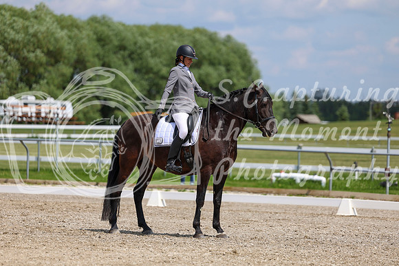 2025 - Dressage Festival - Saturday July 5th - 10312