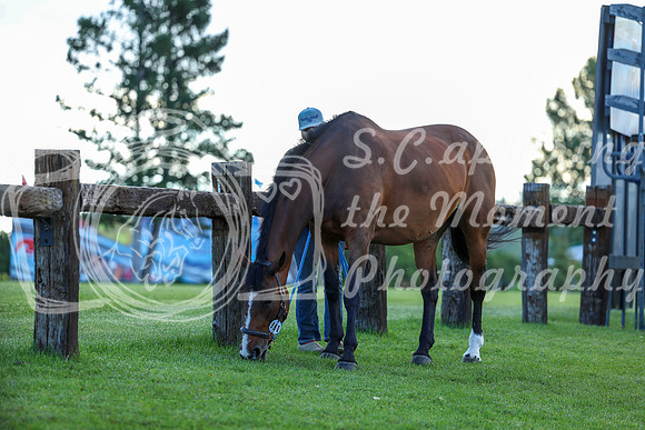 2025 - Shea - Rocky Mountain Classic I - Thursday August 7th - 00020