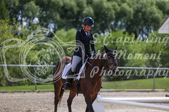 2025 - Dressage Festival - Saturday July 5th - 15430
