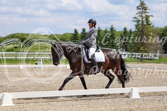 2025 - Dressage Festival - Saturday July 5th - 10376