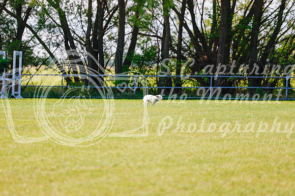 2025 - Haylee - Edmonton Classic - Friday, May 23rd - 00169