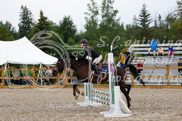 2025 - Haylee - Picco Horse Show - Sunday July 27th 00579