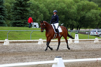 2025 - Dressage Festival - Sunday July 6th - 11781