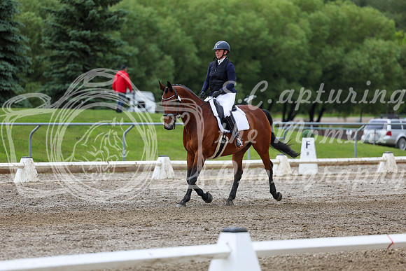 2025 - Dressage Festival - Sunday July 6th - 11781
