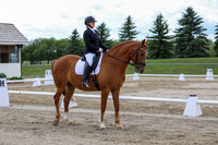 2025 - Dressage Festival - Saturday July 5th - 11174