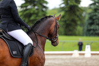 2025 - Dressage Festival - Sunday July 6th - 09013
