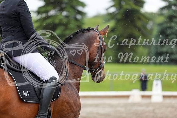 2025 - Dressage Festival - Sunday July 6th - 09013