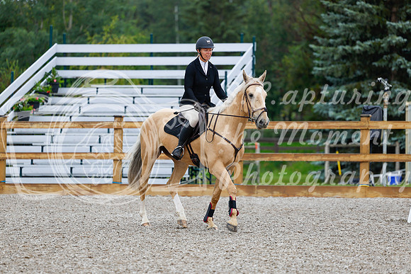2025 - Haylee - Picco Horse Show - Sunday July 27th 00286